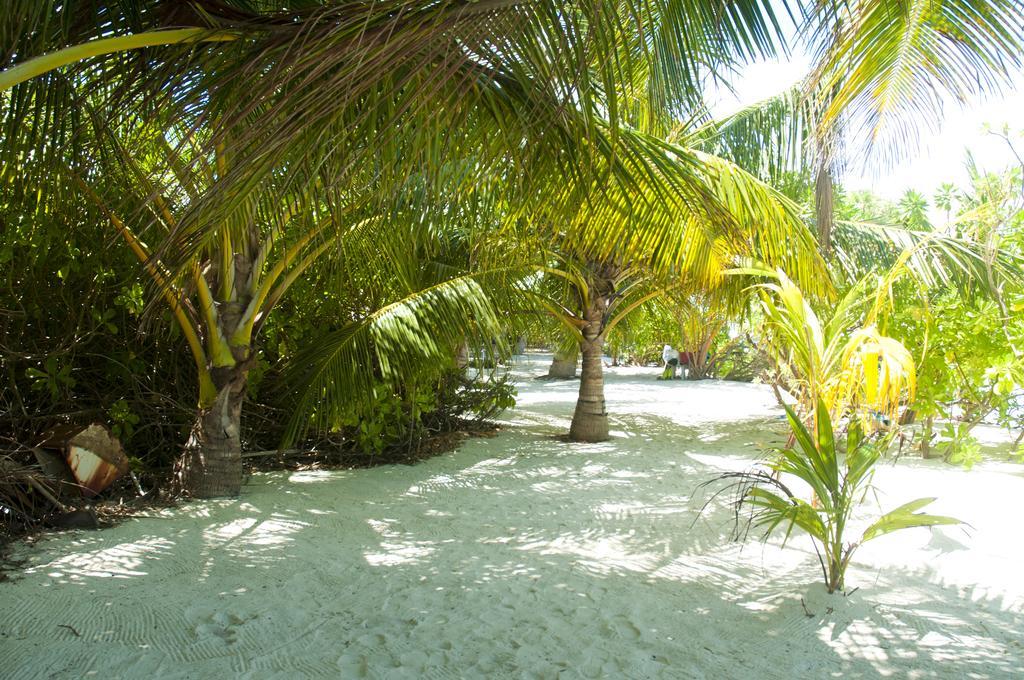Palm Garden Hotel Thoddoo Buitenkant foto